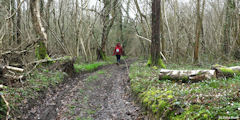 Dancourt (Chemin 3)