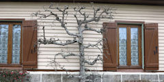 Preuseville (Poirier)