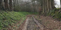 Ouville l'Abbaye (Chemin)