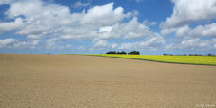Ouville l'Abbaye (Plaine, Nuages)