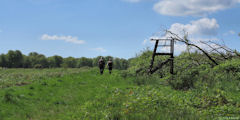 Forêt d'Eu (Chemin 1)