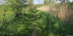 Bray les Mareuil (Sentier)