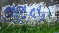 Blangy sur Bresle (Graffiti)