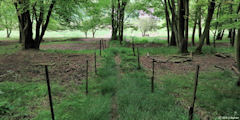 Nesle Normandeuse (Sentier)