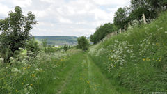 Blangy sur Bresle (Chemin 1)