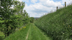 Blangy sur Bresle (Chemin 2)