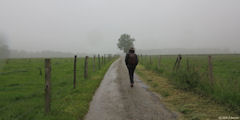 Héricourt en Caux (Route)