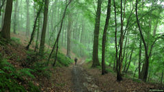 Héricourt en Caux (Chemin 1)