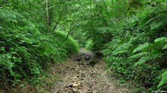 Rocquefort (Chemin 2)