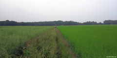 Héricourt en Caux (Chemin 2)