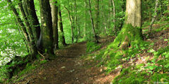 Héricourt en Caux (Chemin 4)