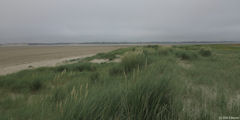Fort-Mahon-Plage (Baie 2)