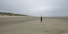Fort-Mahon-Plage (Estran)