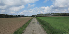 Héricourt en Caux (Route)