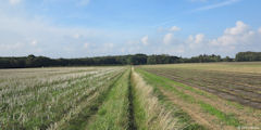 Héricourt en Caux (Chemin)