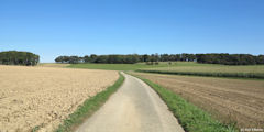 Bréauté (Route)