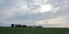 Thil-Manneville (Plaine 4)