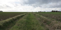 Thil-Manneville (Chemin 2)