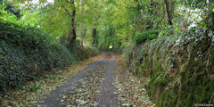 Offranville (Rue)