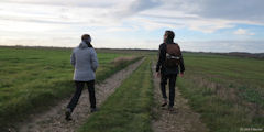 Ambrumesnil (Chemin)