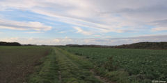 Ouville la Rivière (Plaine 2)