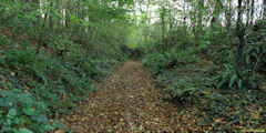 Ouville la Rivière (Chemin 1)