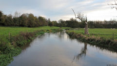 Ambrumesnil (La Saâne)