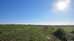 Saint Pierre le Vieux (Chemin 2)
