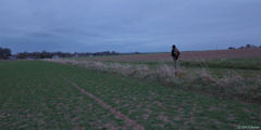 Luneray (Chemin, Nuit)