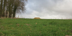 Saint Crespin (Paille)