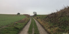 Le Tréport (Chemin 1)