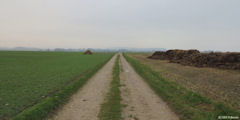 Le Tréport (Chemin 2)