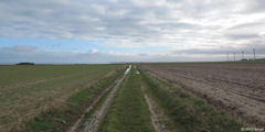Saint Valery en Caux (Chemin)