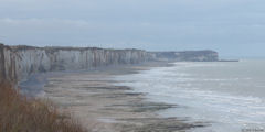 Saint Valery en Caux (Vue)