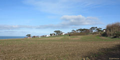 Quiberville (Pins 1)
