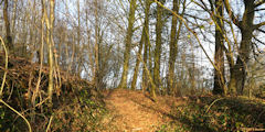Sainte Austreberthe (Sentier)