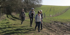 Lintot les Bois (Chemin)