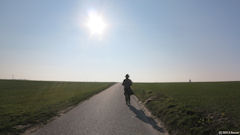 Crosville sur Scie (Route)