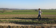 Crosville sur Scie (Chemin 1)