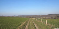 Crosville sur Scie (Chemin 2)