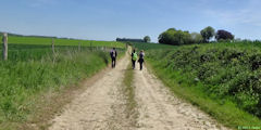Bréauté (Chemin 1)