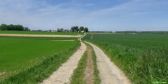Bréauté (Chemin 2)
