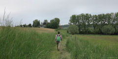 Ellecourt (Sentier)