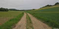 Saint Martin au Bosc (Chemin)