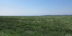 Fort Mahon Plage (Baie)