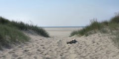 Fort Mahon Plage (Chemin)