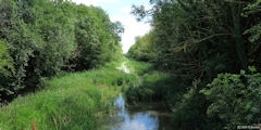 Le Tréport (Ancien Canal)