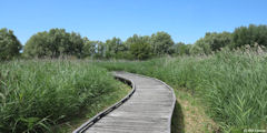 Le Tréport (Marais 3)