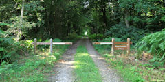 Forêt d'Arques (Route Forestière)
