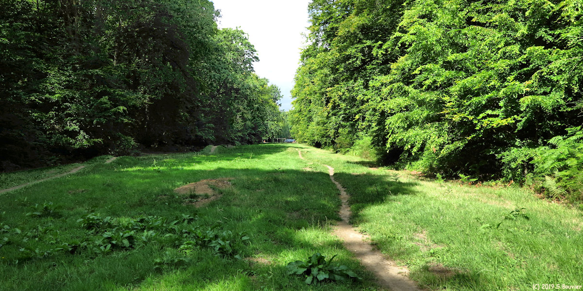 Forêt d'Arques (Aire de Loisirs)